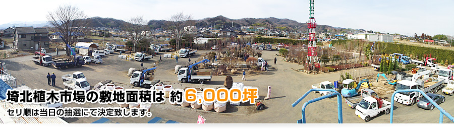 埼玉県深谷市の植木卸、植木販売、仲卸の埼北植木市場